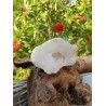 géode_cristal_de_roche_837_grammes_Maroc