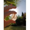 Galet en Quartz Hématoïde qualité AA, tenu à la lumière du soleil – provenance Brésil.