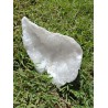 Géode marocaine en cristal de roche, 416 g : forme goutte, cristaux lumineux, pièce rare et authentique.