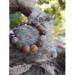 Bracelet en Bois Fossile...